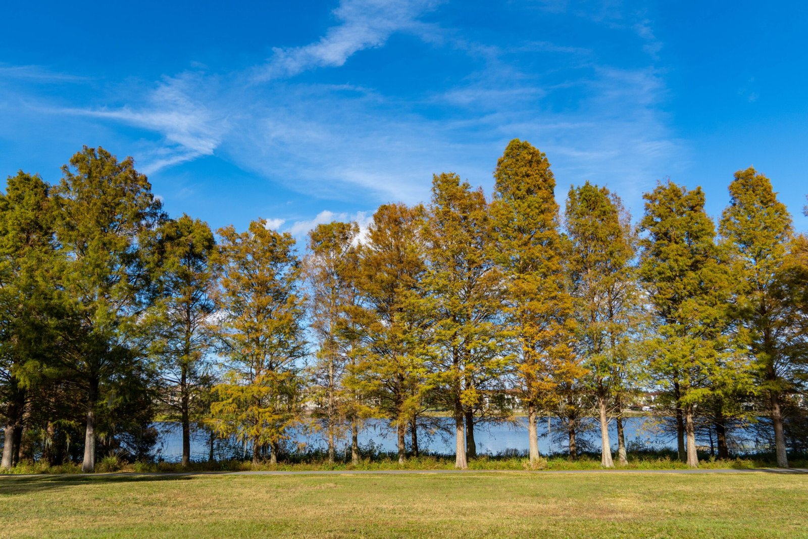 Take a day trip if you want a change of scenery
