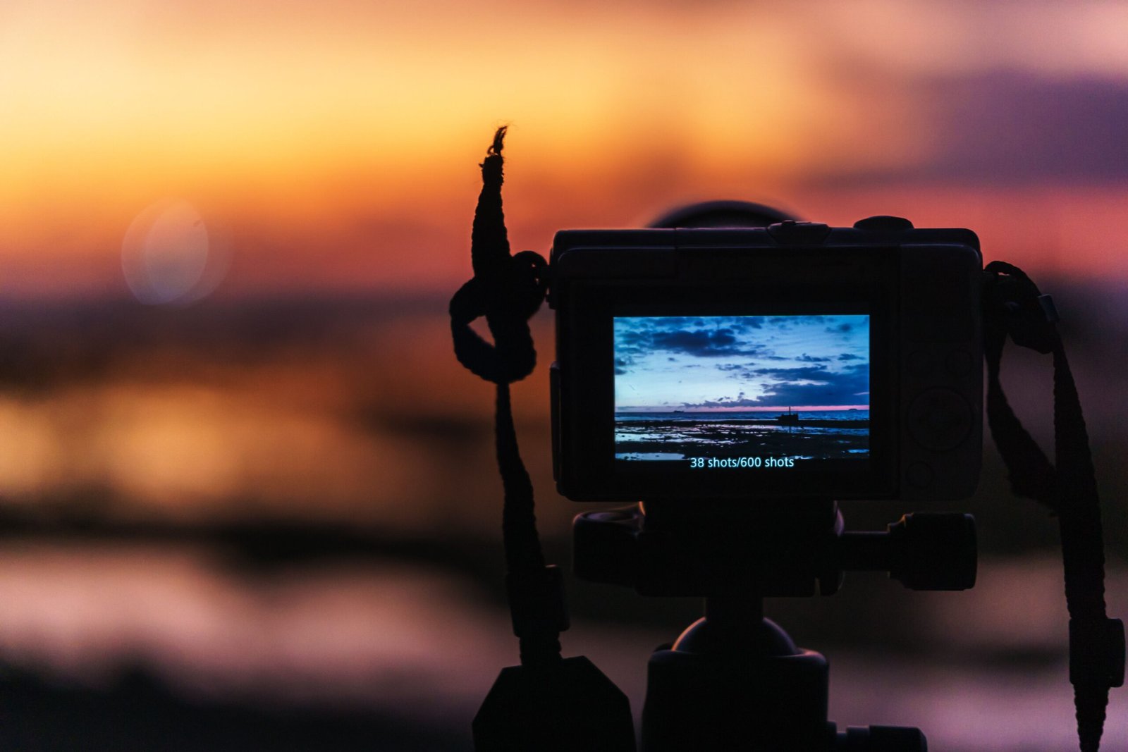 Know the best times for photos