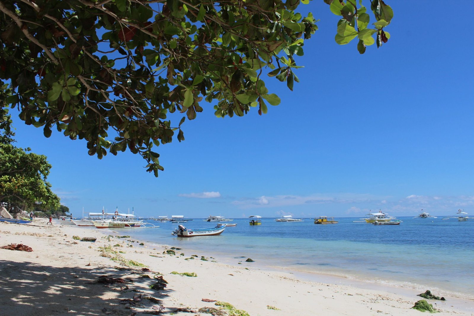 Pick a Panglao beach based on your comfort level