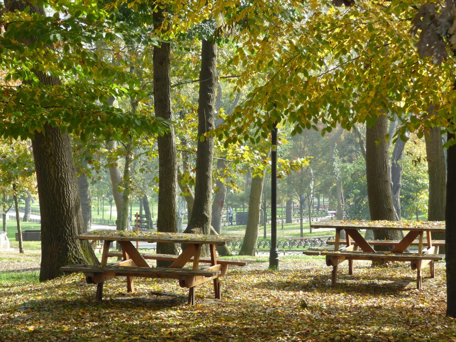 If you need a break, find a park and stay shaded