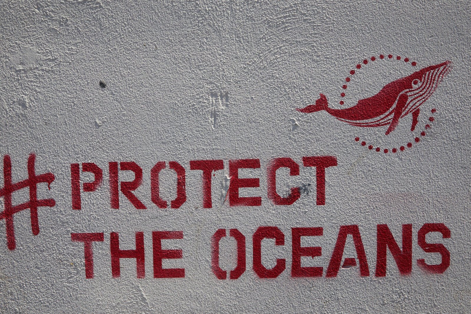 Respect the ocean: safety beats bravado
