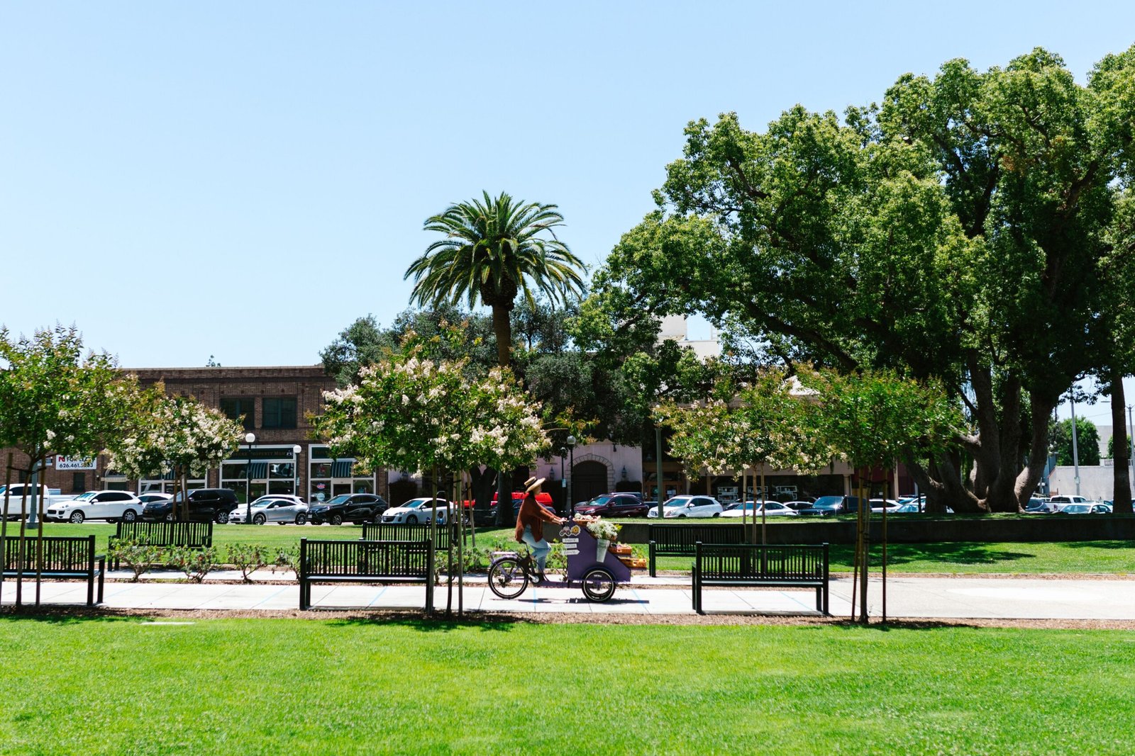 Explore downtown Santa Cruz on foot