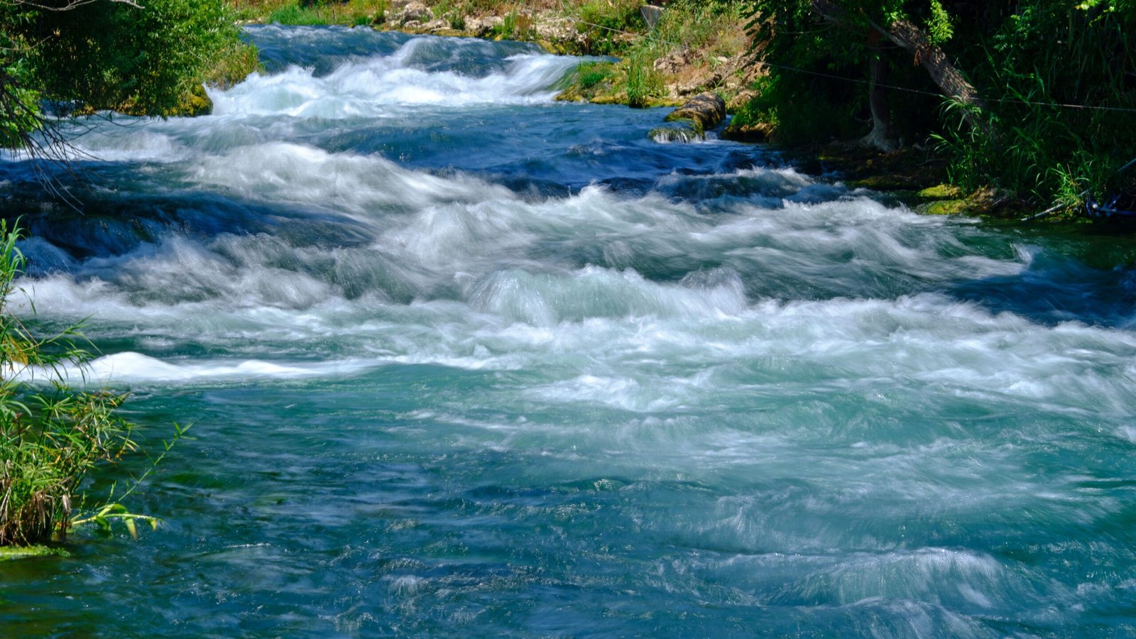 Start with the Comal River for an easy “today win”