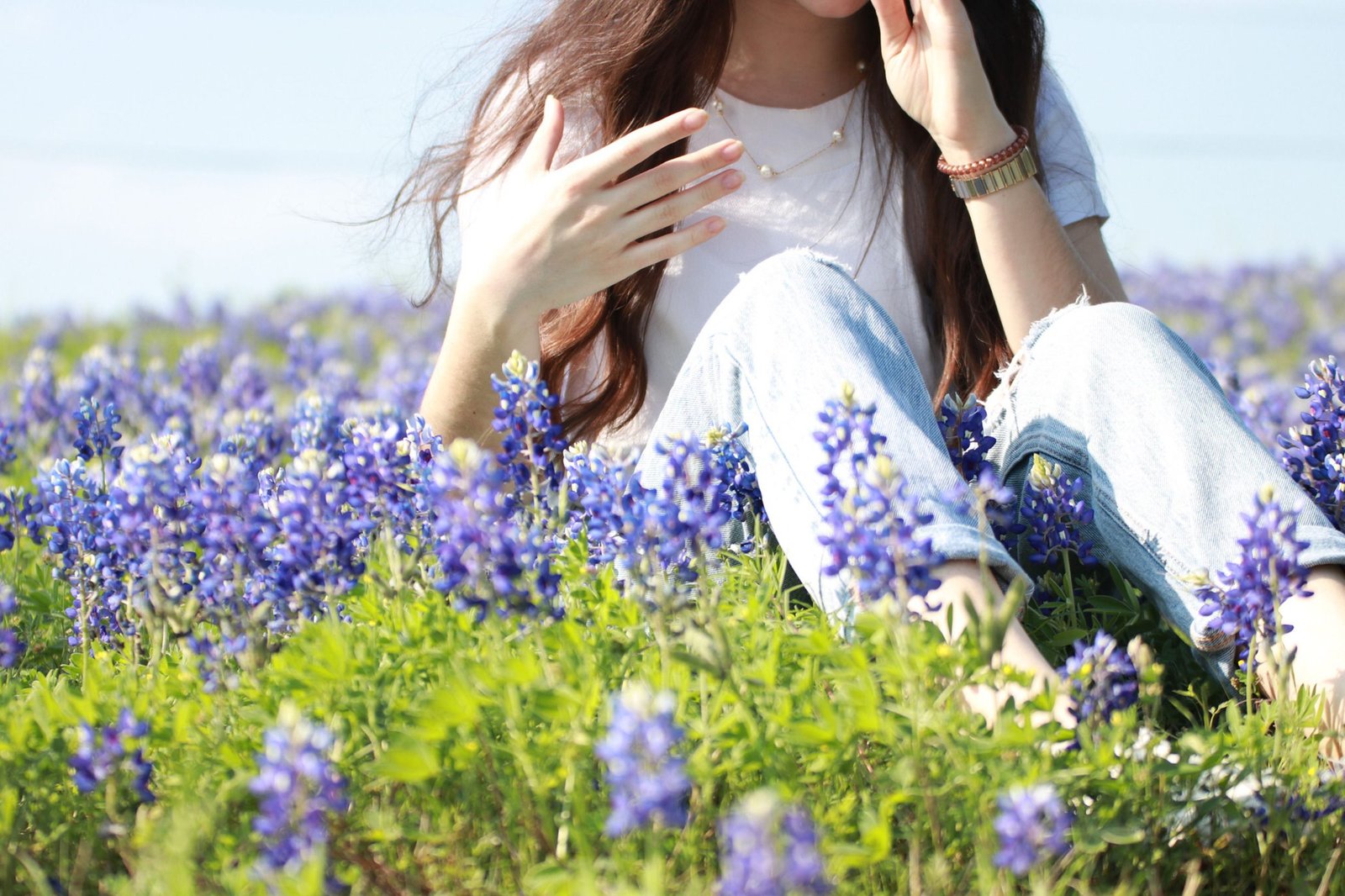 Time your trip for bluebonnet season