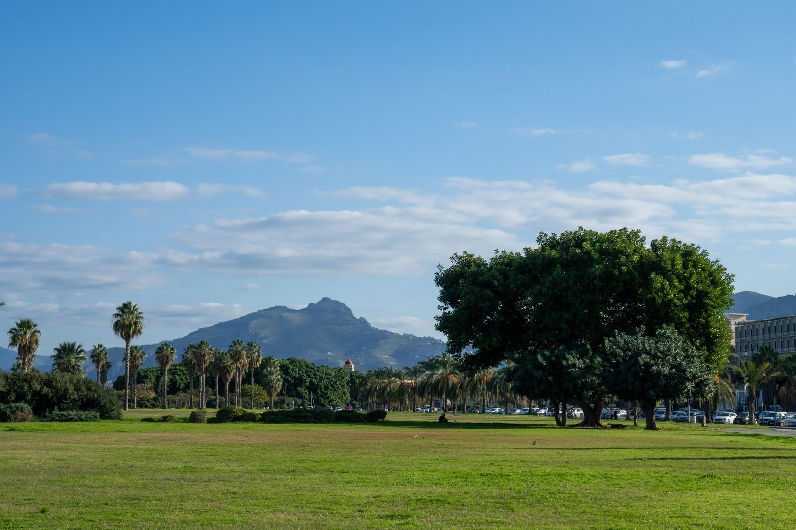 Use the parks around Palermo for a lighter day