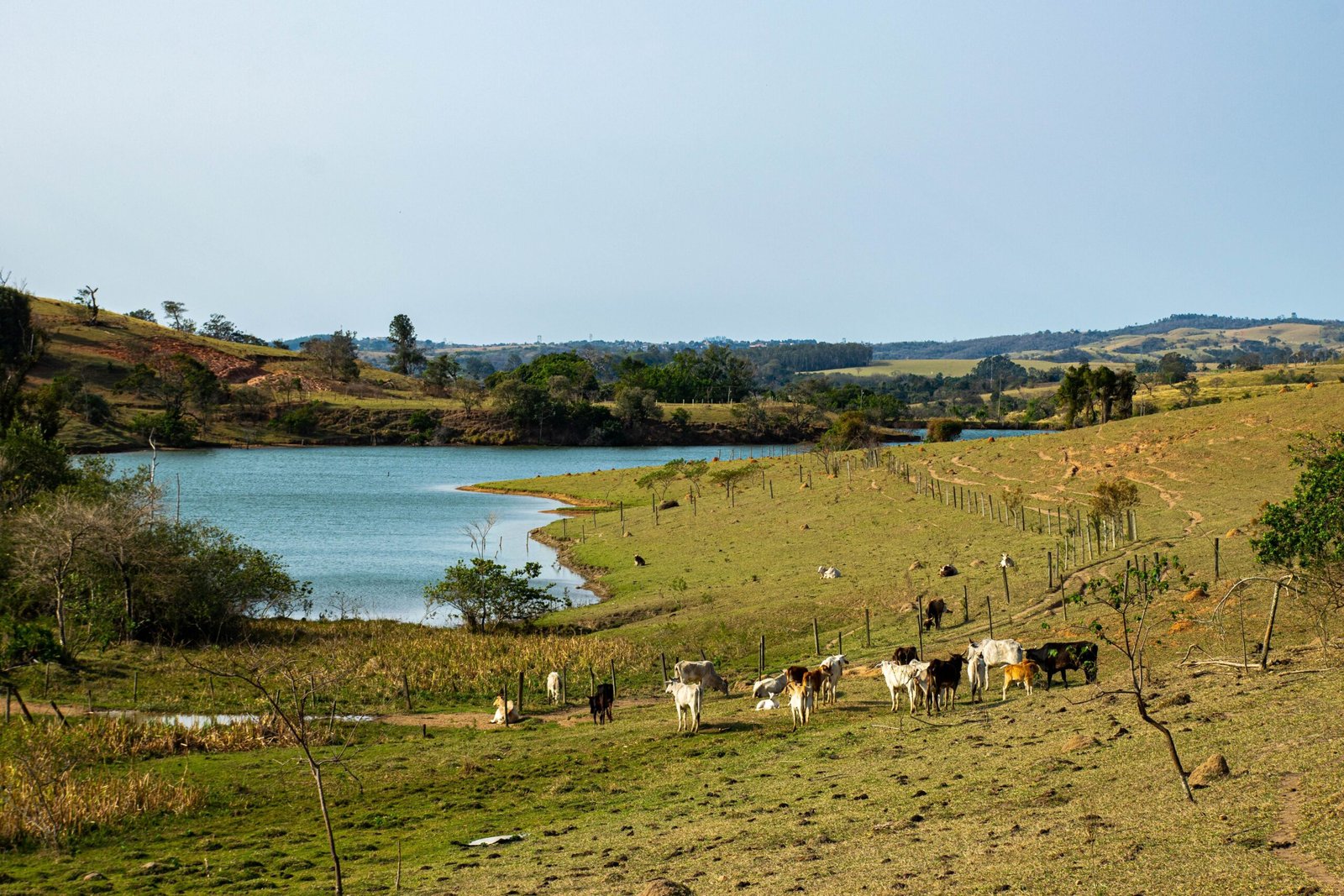 Do at least one farm or countryside outing