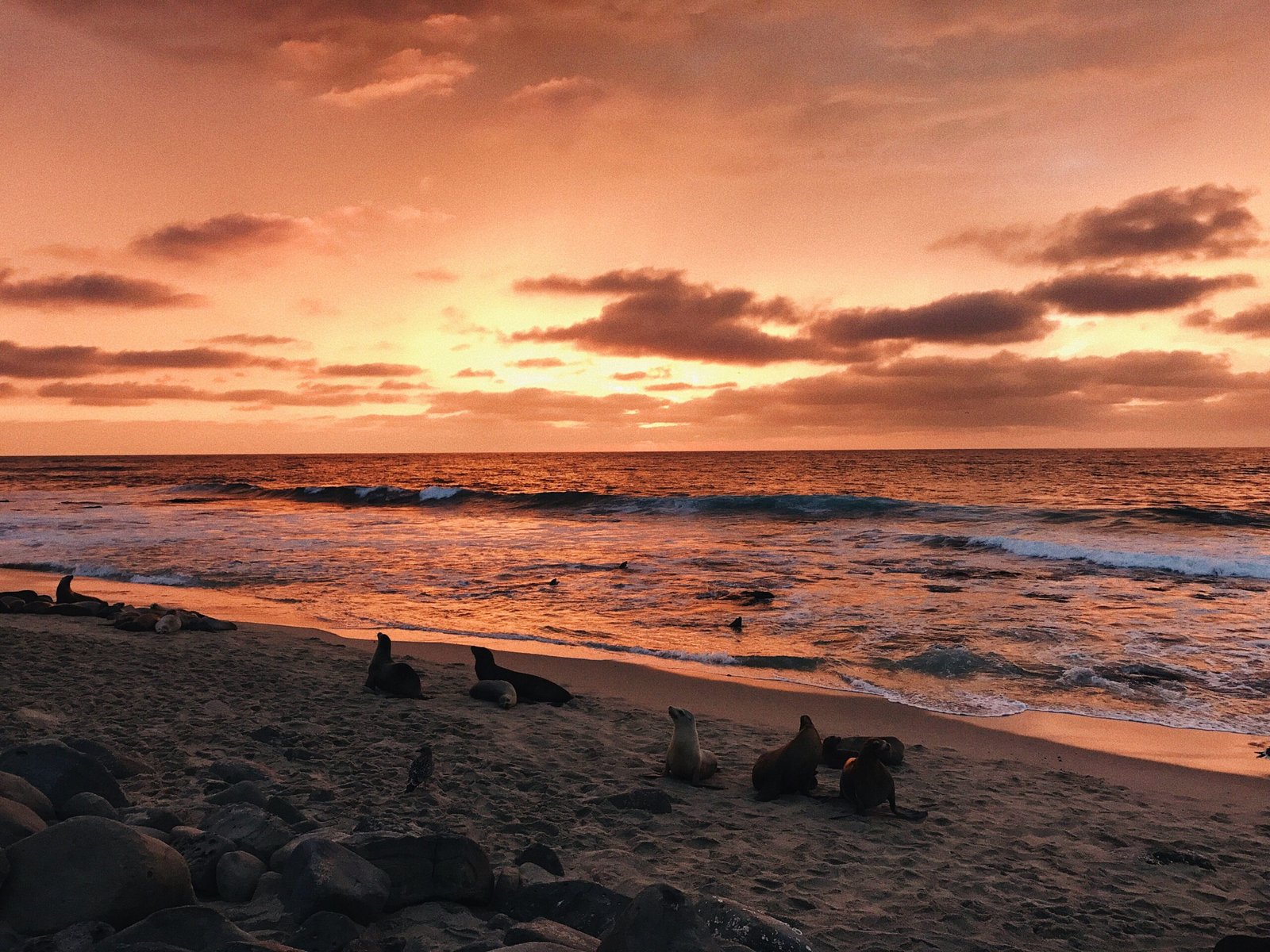 Start your route with a beach sunset plan
