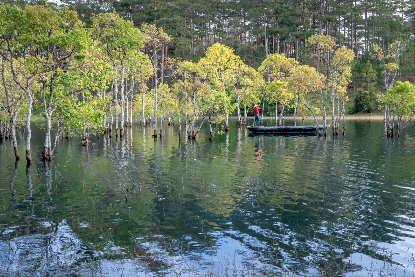Take a dry-tackle or fishing-style experience