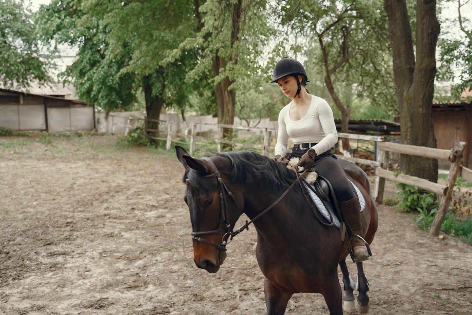 Consider a horseback or guide-led option for variety