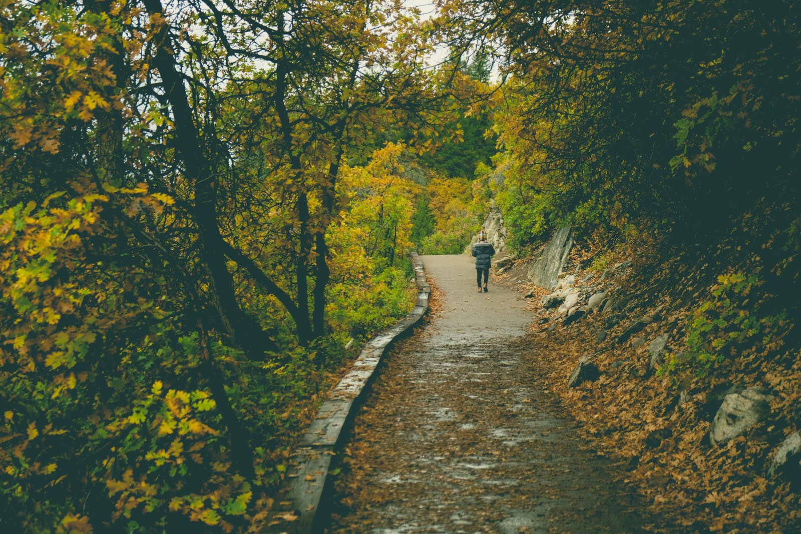 Start with an easy trail so you feel Murrieta fast