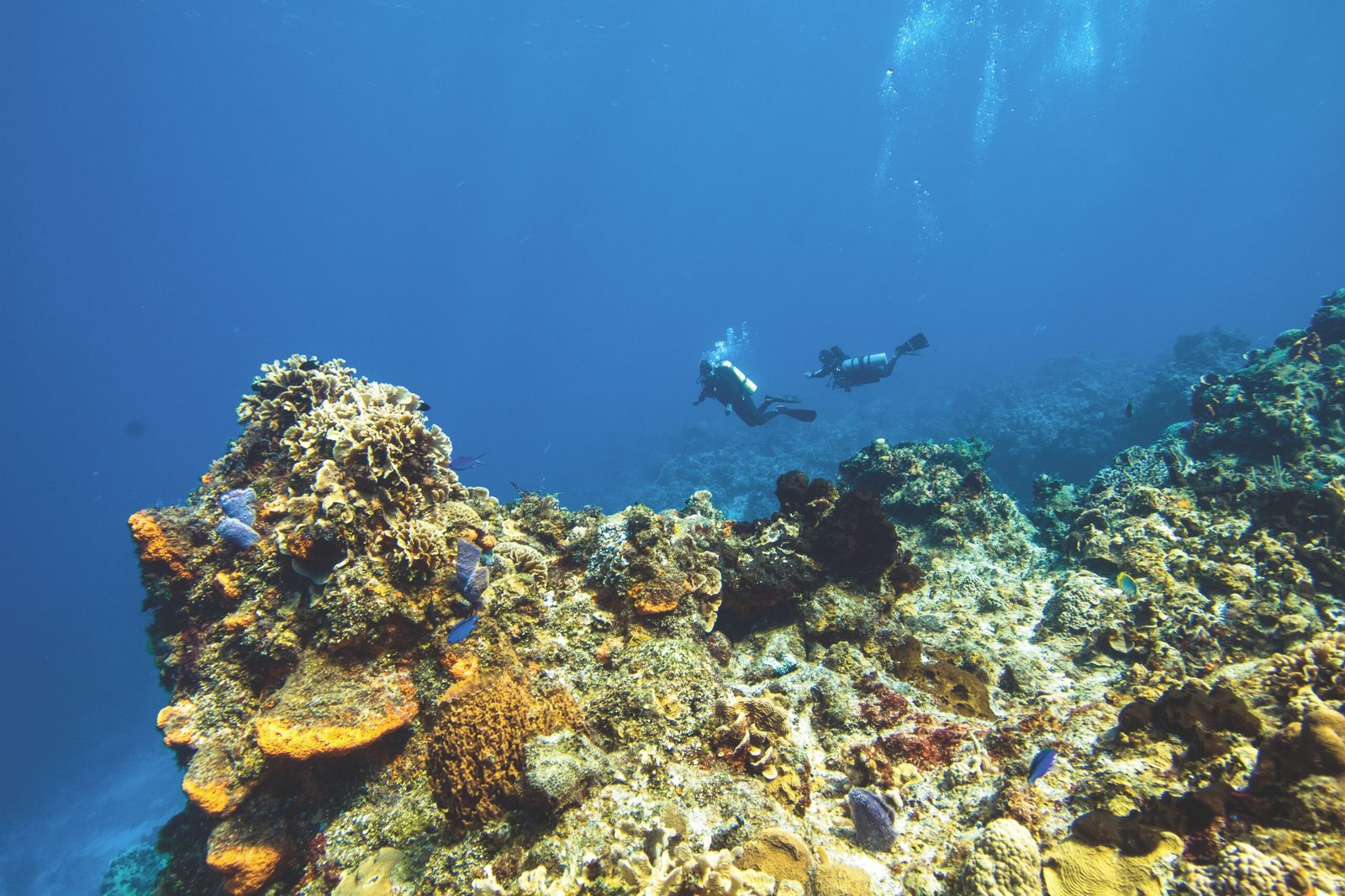 Pick John Pennekamp Coral Reef State Park for your first “wow” moment