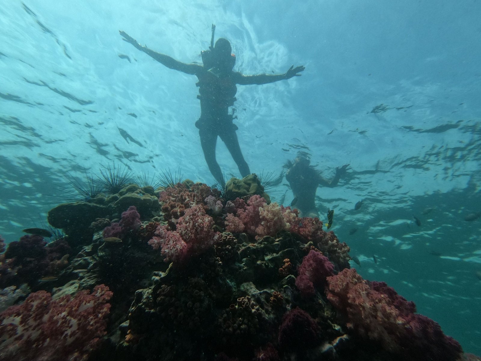 Go snorkeling with expectations in the right place