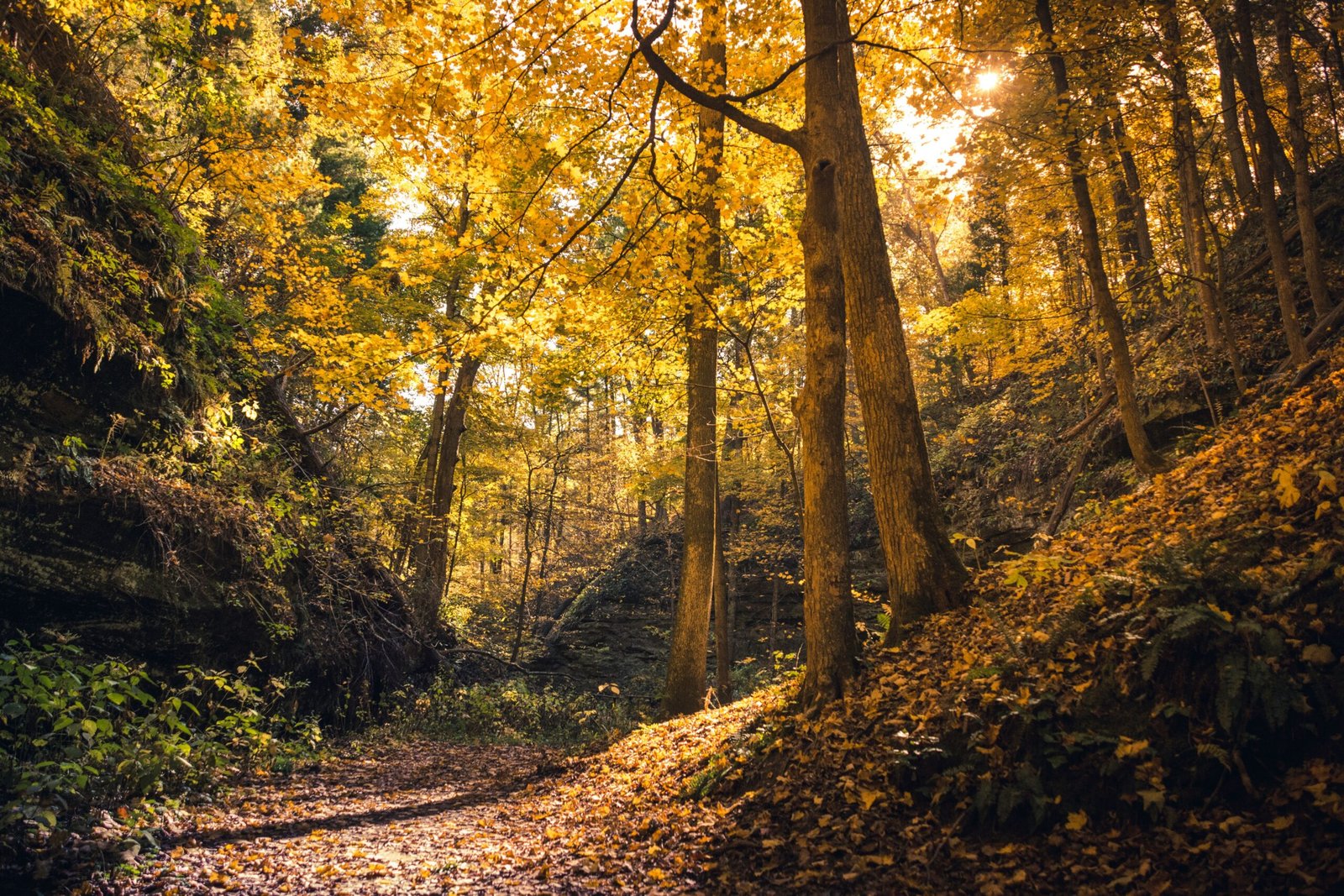 Start with the “big nature” highlights for your first visit