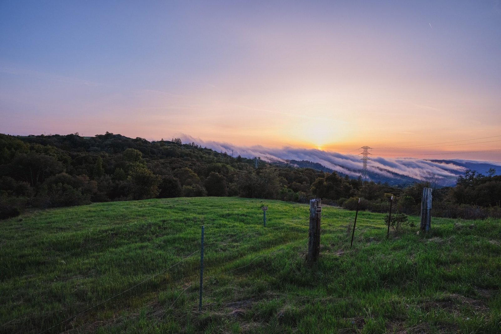 Walk whenever possible for San Jose, Palo Alto, and Mountain View