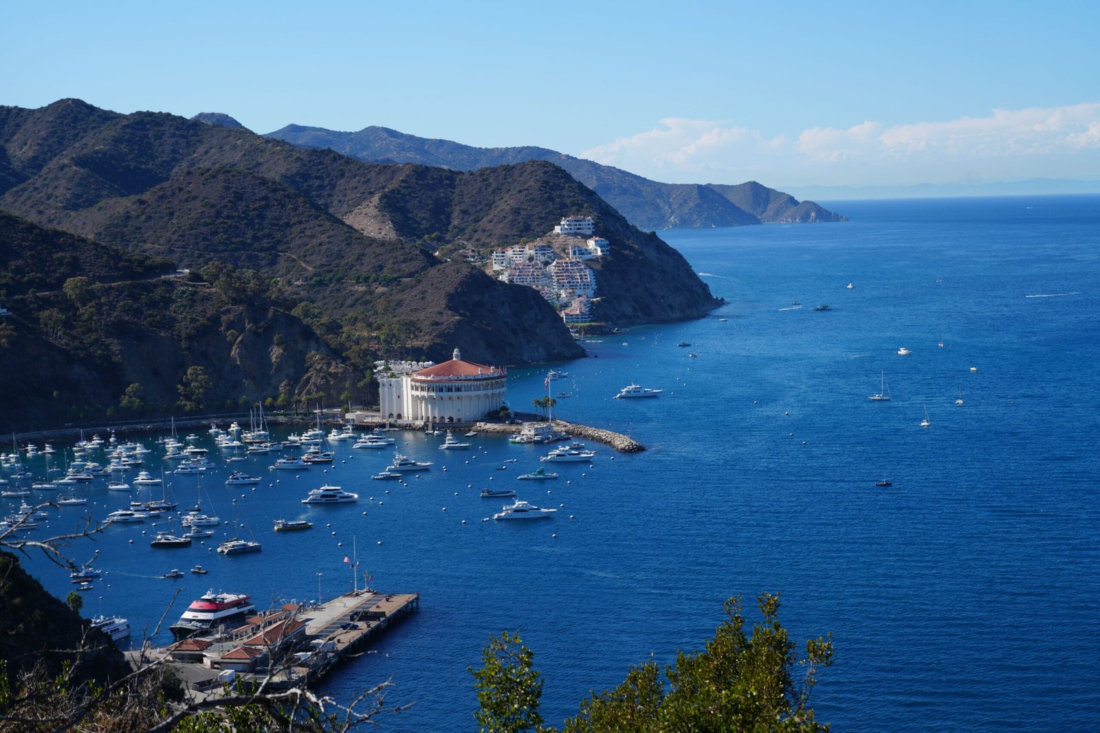 Choose Avalon if you want the most “best things to do in catalina island” options