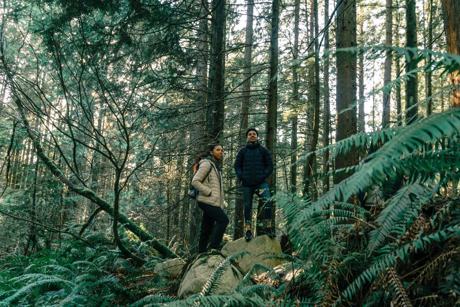 Do a beginner-friendly hike (even if you are not summiting)