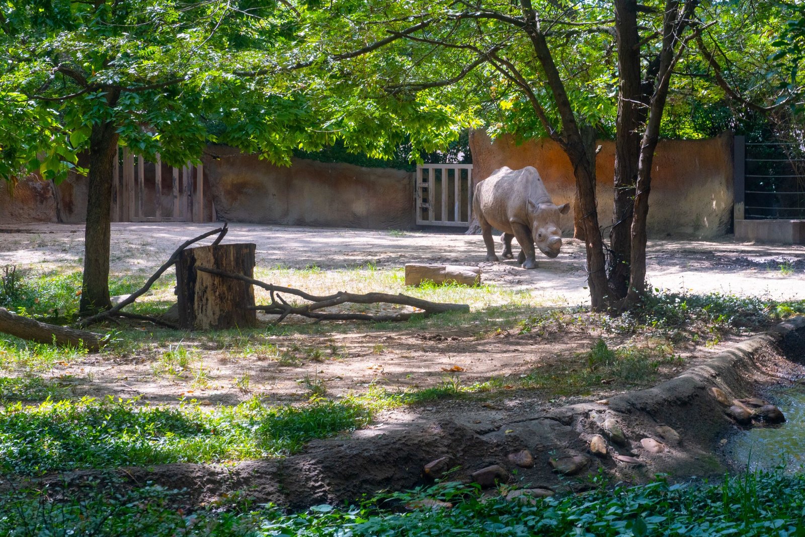 Go for a guided hike if you want history plus more wildlife spotting