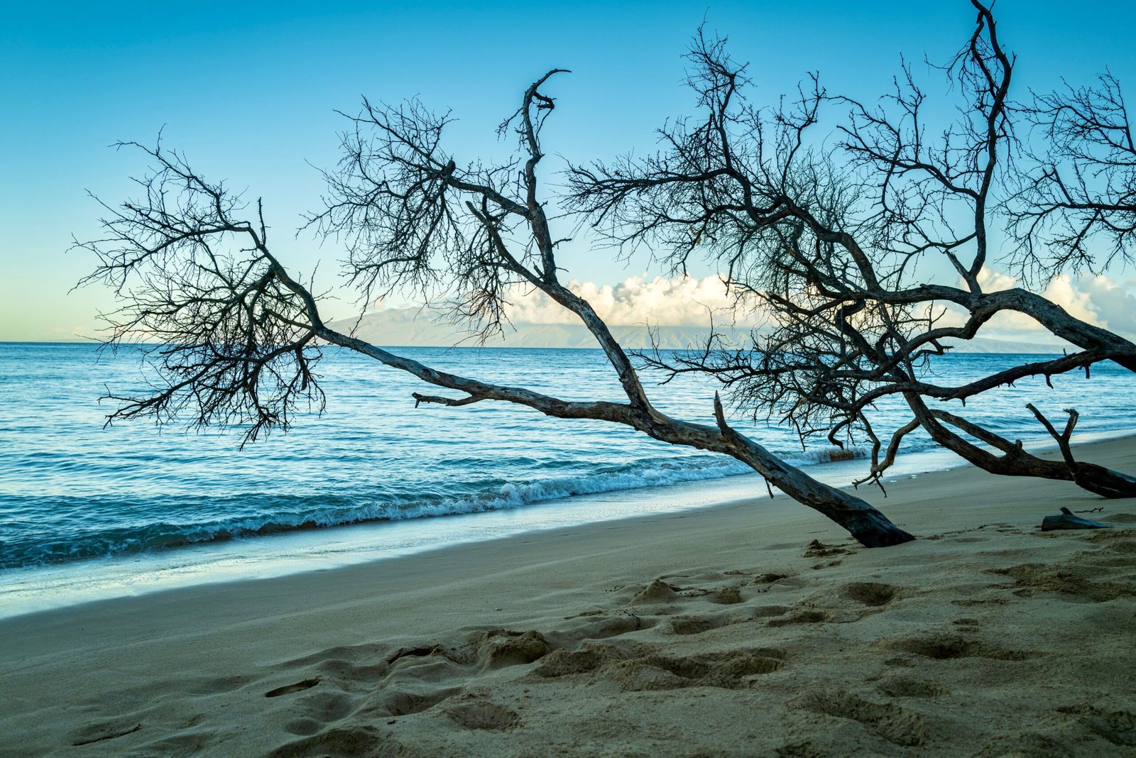 Start with a shoreline walk for the classic Clinton feel