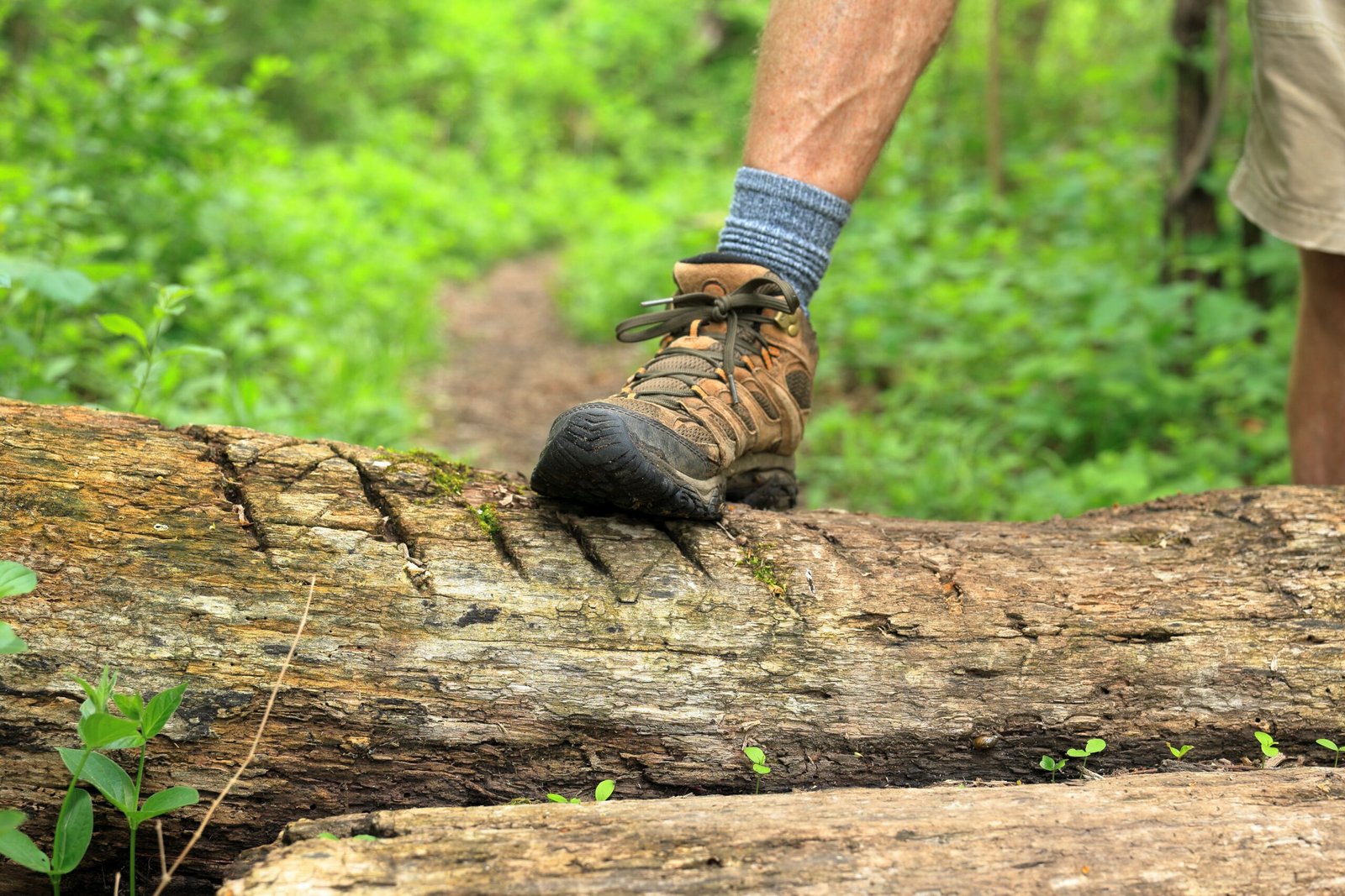 Safety basics: watch footing on trails and keep water handy