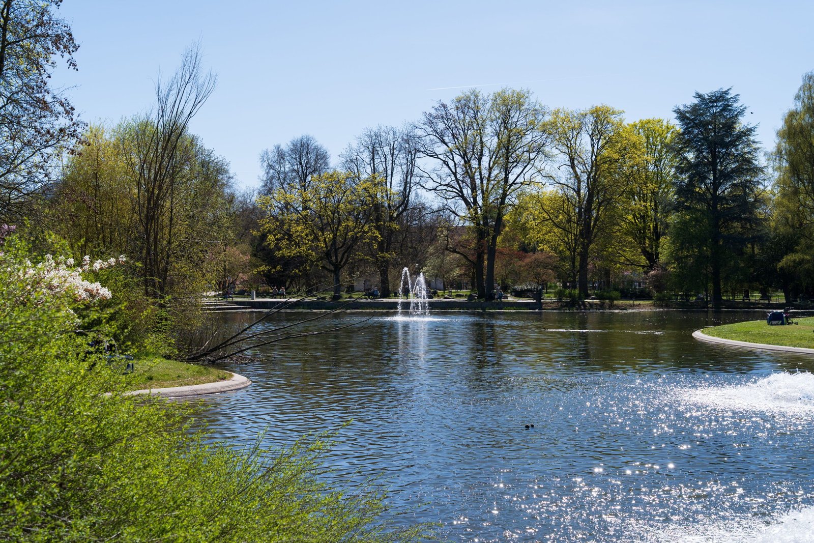 Start with Hutchinson Pond for a relaxed local walk