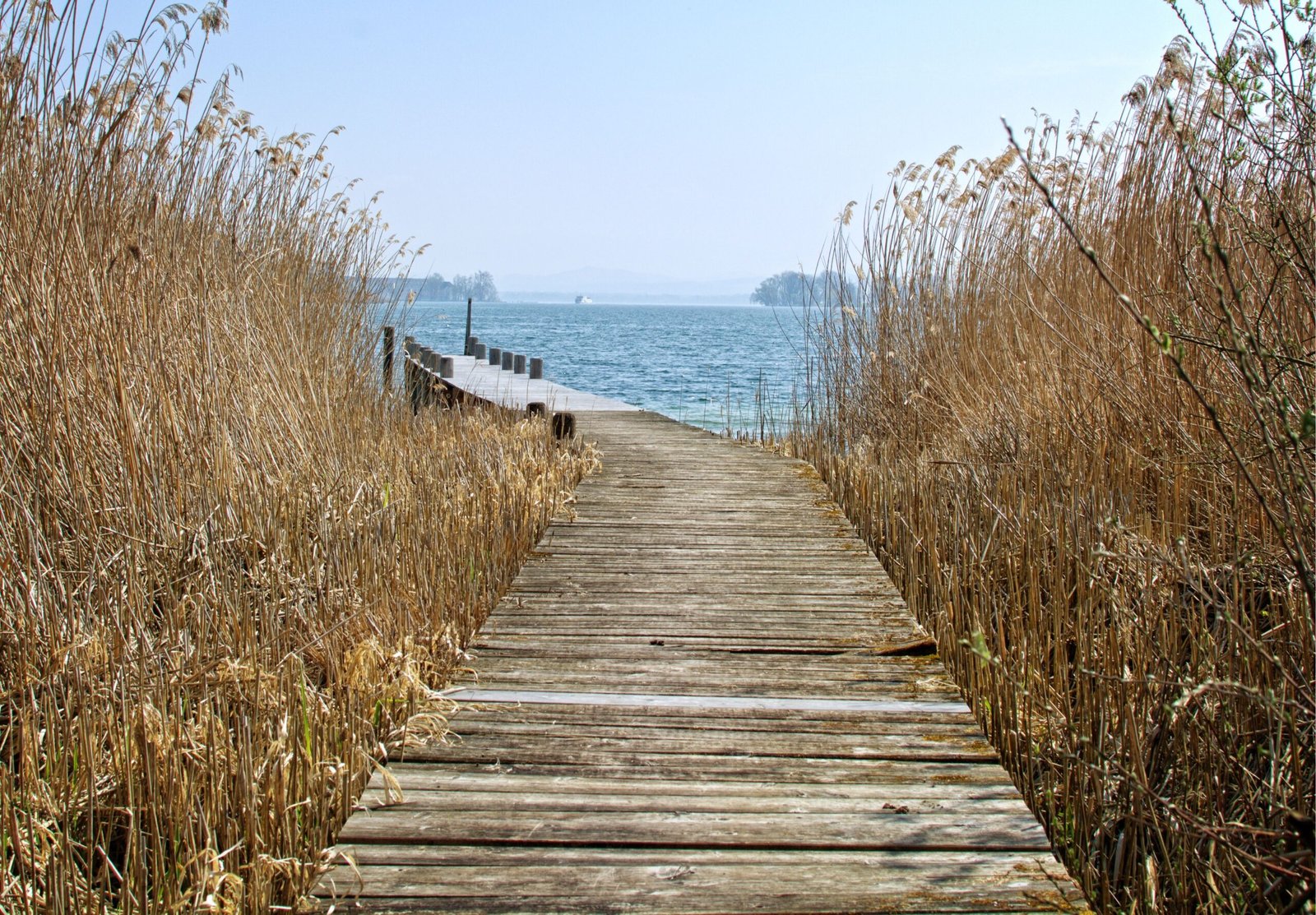 Start with the Wildwood Boardwalk walk-through