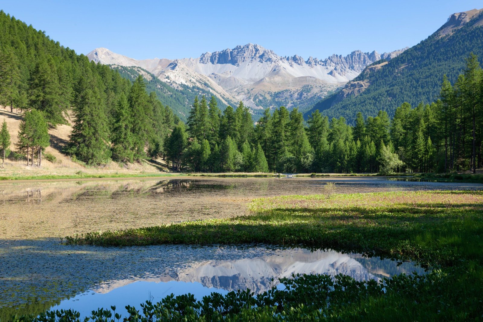 Walk to Lac des Gaillands for a classic, accessible loop