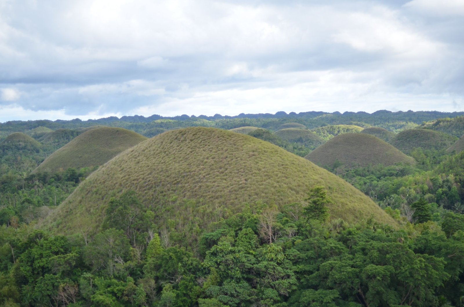 Overview city of Bohol