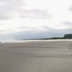 Overview city of Long Beach WA