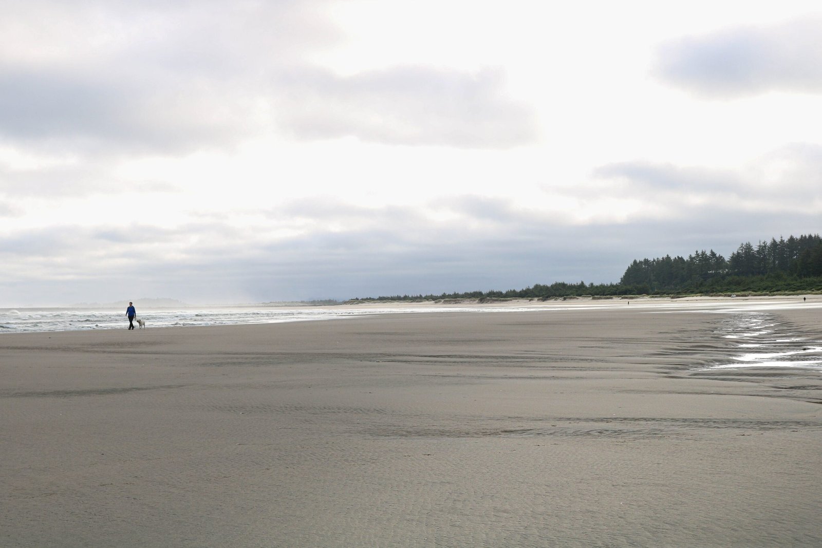 Overview city of Long Beach WA