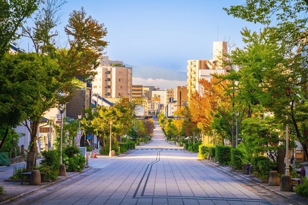 Overview city of Nagano Japan