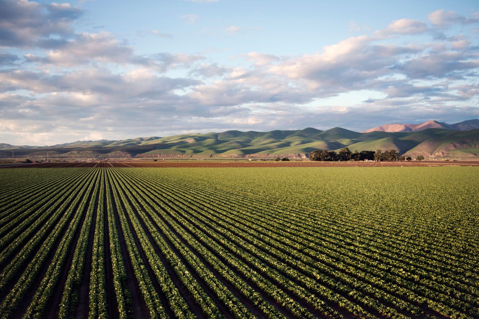 Overview city of Santa Maria California