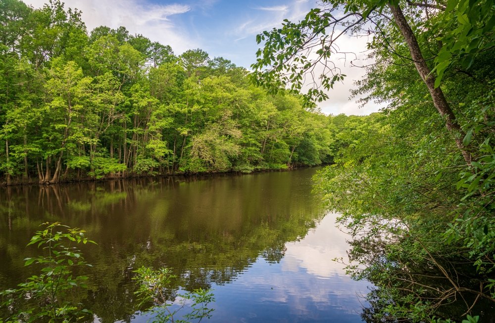 Overview city Congaree National Park