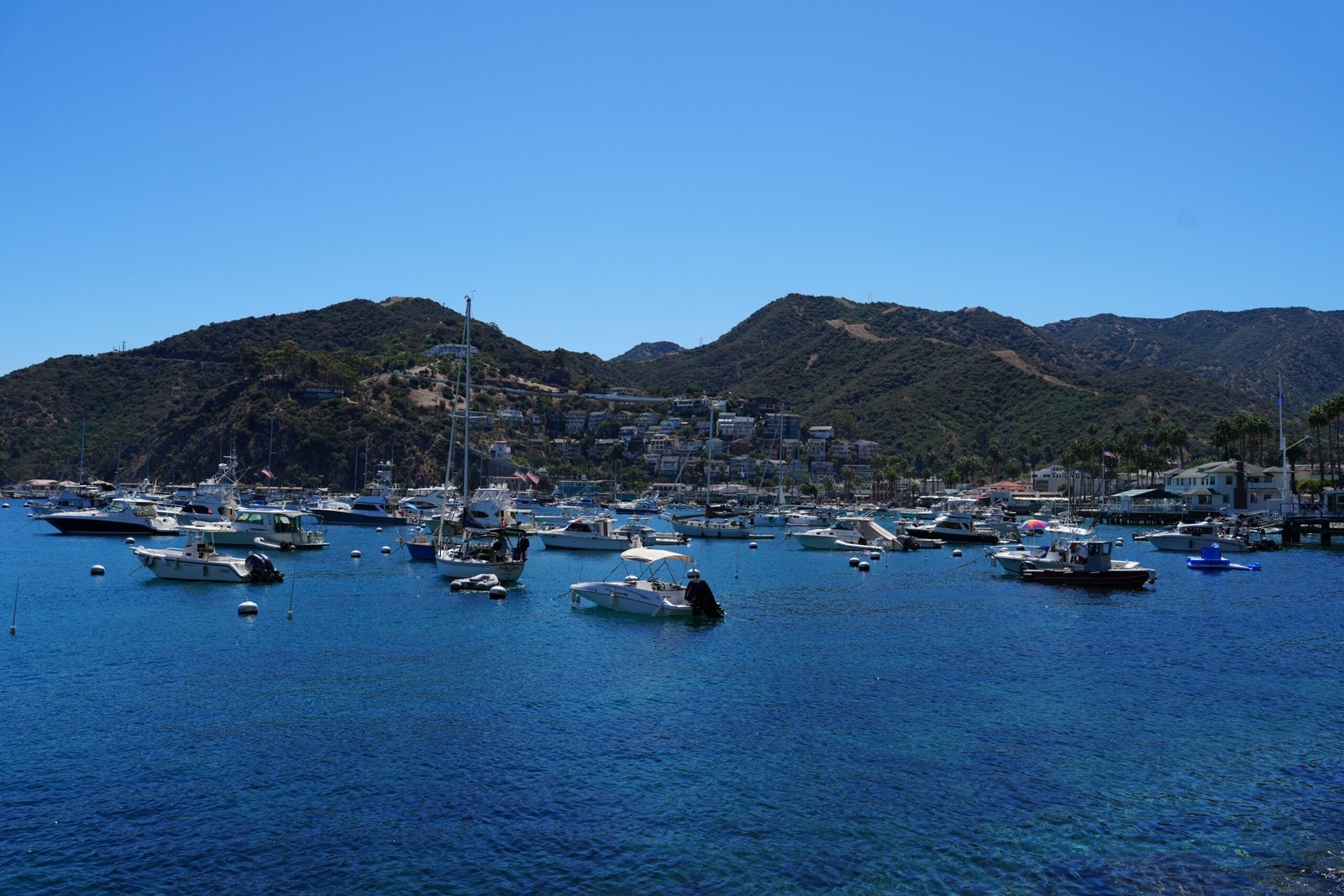 Overview city of Catalina Island