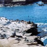 Overview city of La Jolla Cove