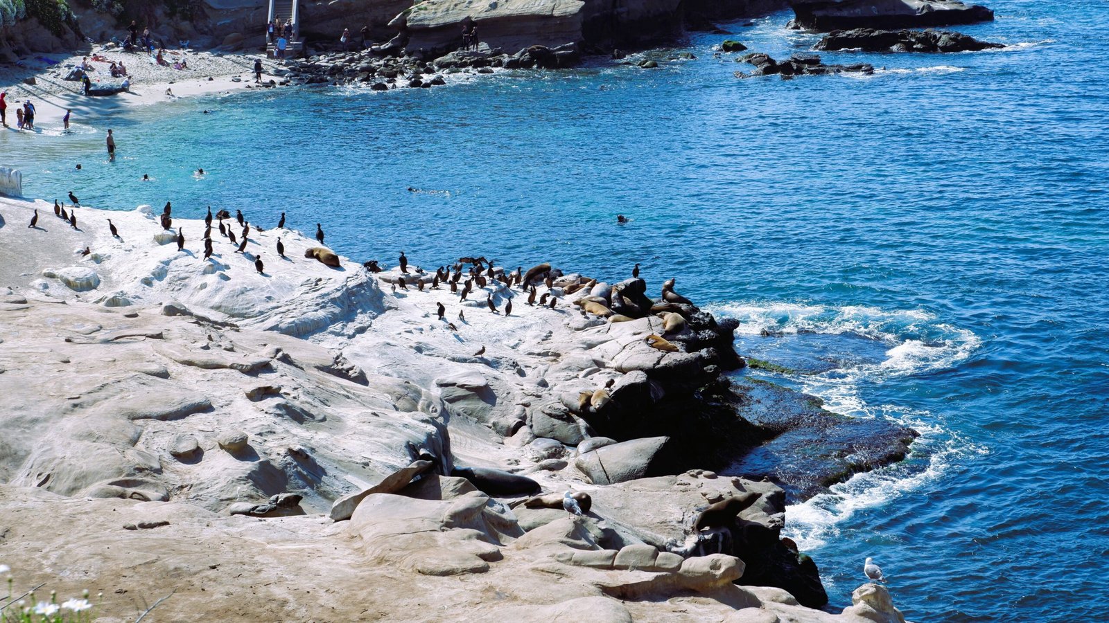 Overview city of La Jolla Cove